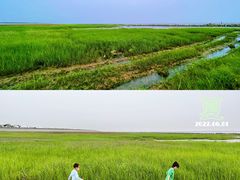 -南汇嘴观海公园