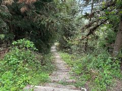 -紫鹊界梯田景区