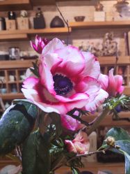 -今日陶艺(富力广场店)