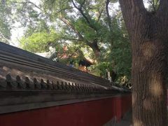-北京国子监胡同