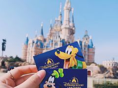 -上海迪士尼度假区