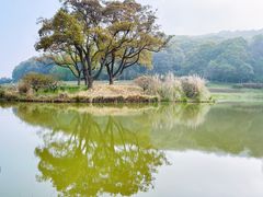 -无锡梅园公园