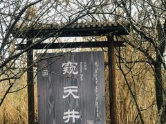 -杏花村文化旅游区