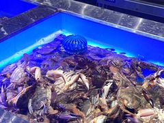 -SEA西雅图海鲜自助餐厅(海乐世界店)