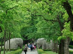 景点-明孝陵