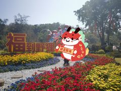 -野狸岛