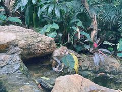 -广州长隆野生动物世界