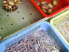 -大湾区中央湿地公园-十九涌