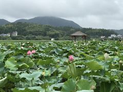 -九鲤溪瀑景区