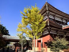 -莆田南少林寺