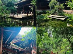 -棠湖公园