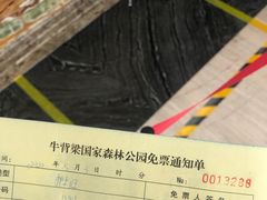 -牛背梁国家森林公园