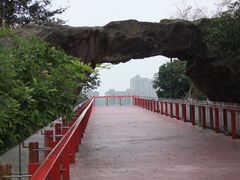 -青枫公园