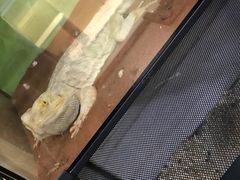 -藦茜花园宠物主题亲子互动体验馆(国顺东路店)