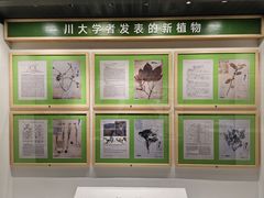 -四川大学博物馆