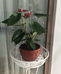 -痘博士天津·全国连锁祛痘机构