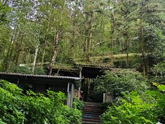 -桂林古东瀑布景区