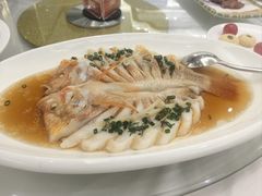 -骏莱海鲜鱼港(五角场店)