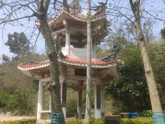 -青礁慈济宫