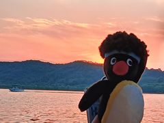 -西湖外事游船(湖滨二公园外事游船码头)