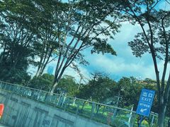 -深圳市少年宫-停车场