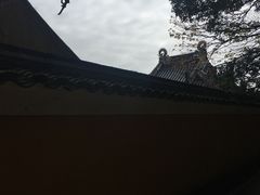 -普陀山慧济禅寺