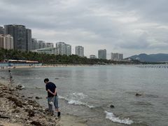 -东郊椰林