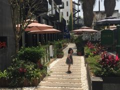 -梧桐花园餐厅(新城店)