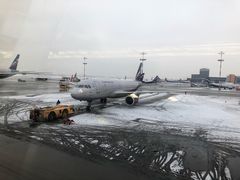 -谢列梅捷沃国际机场