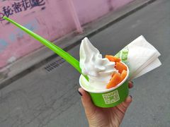 -Salud撒露欧洲冻酸奶(798艺术区店)