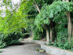 -贵阳市花溪国家城市湿地公园