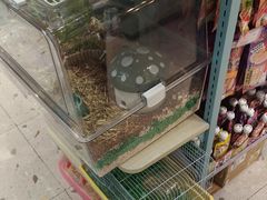 -FAELING PETS美天灵宠物(合生汇店)