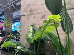 -卡朋西餐(宝安大仟里店)