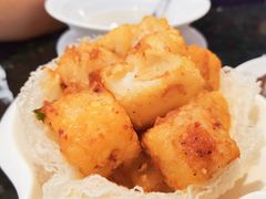 xo酱萝卜糕-新兴·金羊座·粤菜点心(乐峰店)