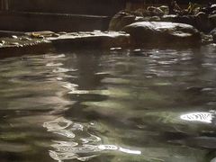 -花水湾第一村温泉大酒店