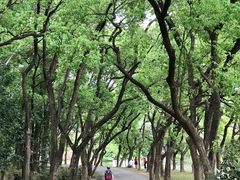 -华南国家植物园-售票处