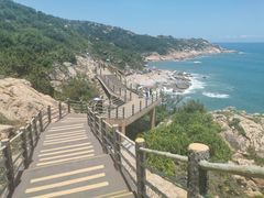 -广东惠东海龟国家级自然保护区