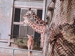 -上海动物园(地铁站)