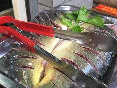 -蜀渔轩美蛙鱼火锅(郫筒店)