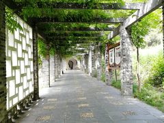 -龙寺生态园