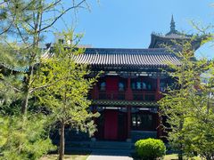 -迎泽公园