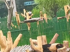 -沈阳森林动物园