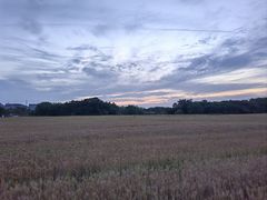 -汉长安城未央宫国家考古遗址公园