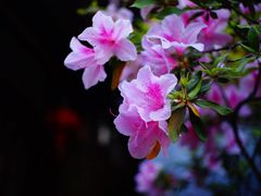 -仓山金山寺