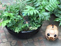 -三鹰之森吉卜力美术馆