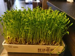 -湊湊火锅·茶憩(打浦桥日月光店)