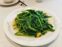 -眉州东坡(北苑华贸店)