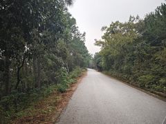 -九龙潭景区