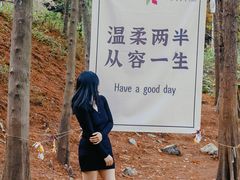 -天花井景区