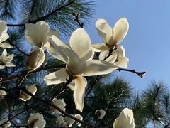 -北京植物园南门售票处